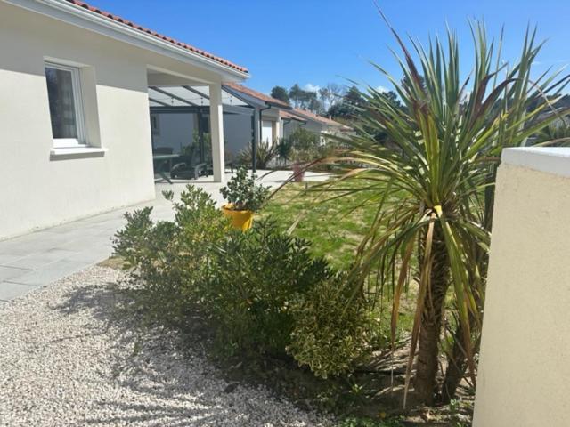 Belle Maison Malou Climatisee Calme, Piscine, Jacuzzi 3Km Plage Labenne Capbreton Kültér fotó